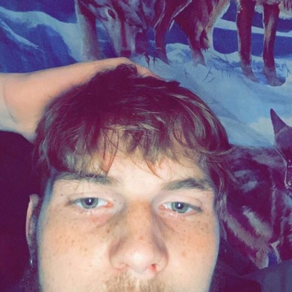 noahechols64